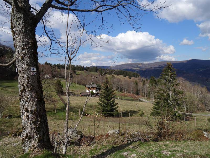 Randonnée : Trail - La roche du renard