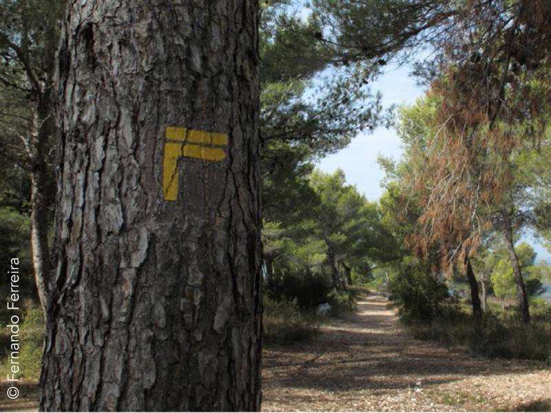 Randonnée : GR de Pays Sentier Provence, Mines d'Energie