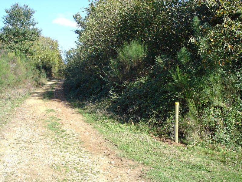 Randonnée : Autour de la Fraise à Cendrieux