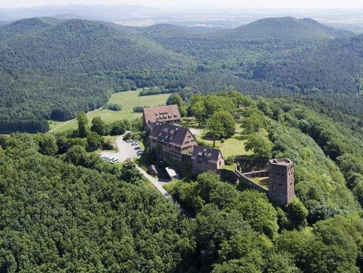 Randonnée : Circuit forestier du château de Hunebourg