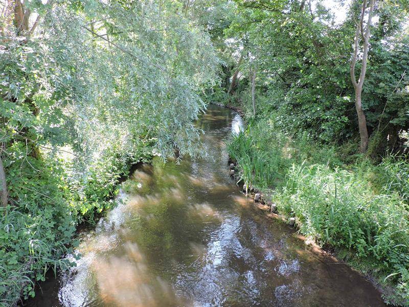 Randonnée : Promenade Hansi