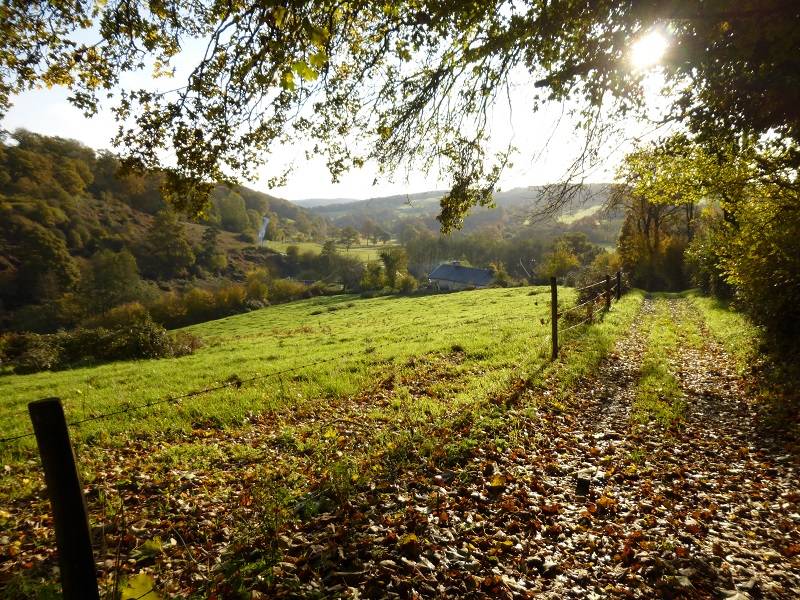 Randonnée : Balade en Terres de Druance