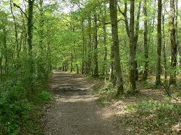 Randonnée : Le sentier du lac des Pescofis