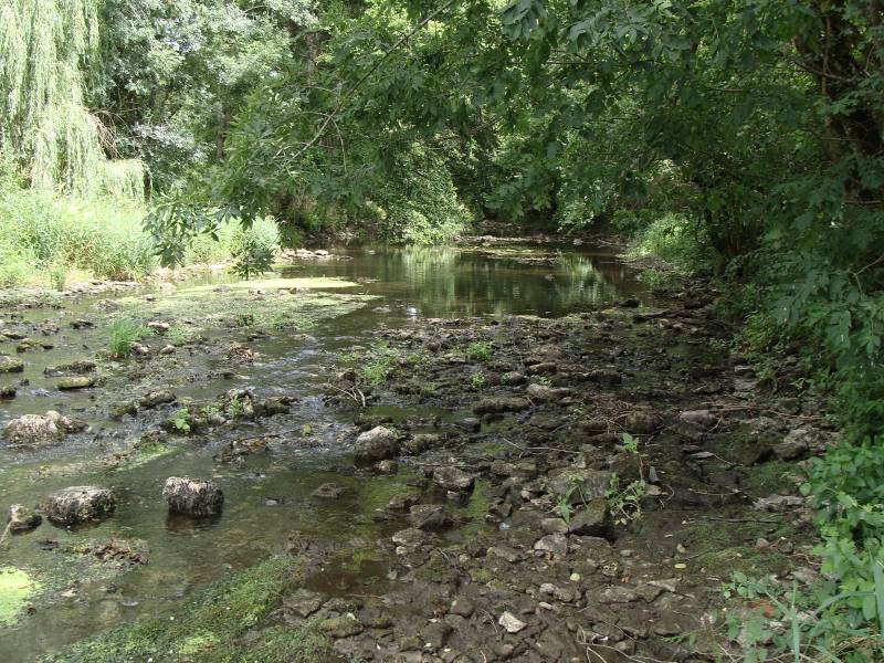 Randonnée : Au fil de la Bouzanne