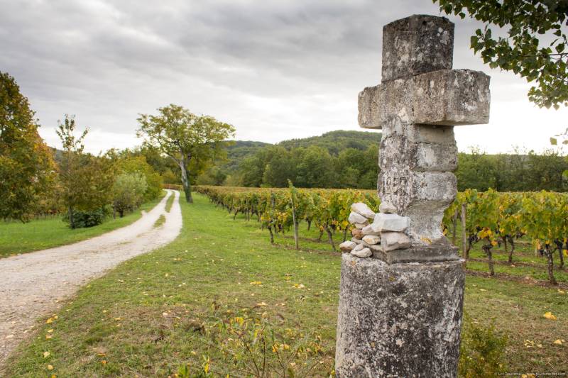 Randonnée : Circuit des points de vue