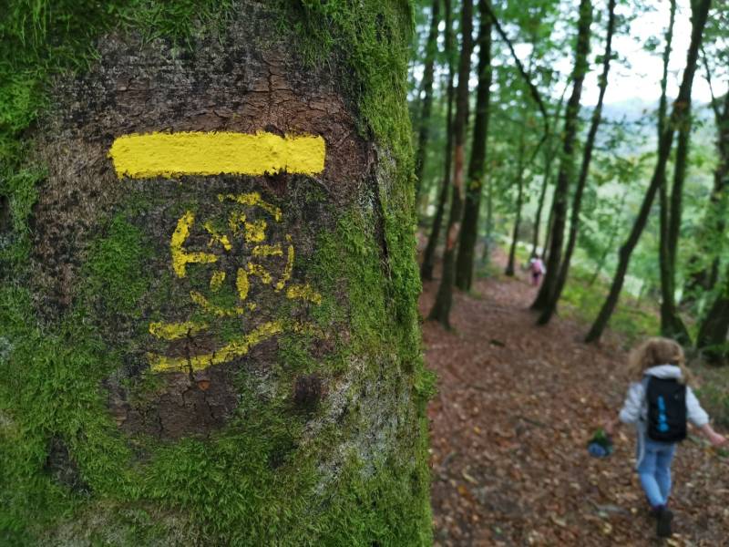Randonnée : Circuit Pédestre N°56 : "Sentier de découverte des Champs de pierres et cascades d'Augerolles"