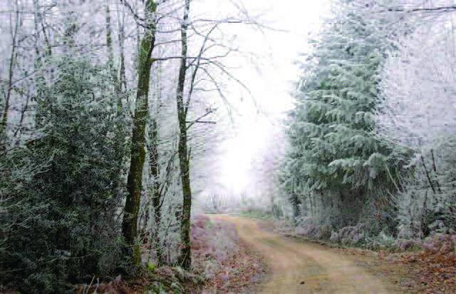 Randonnée : De Pierre et de Bois SD1