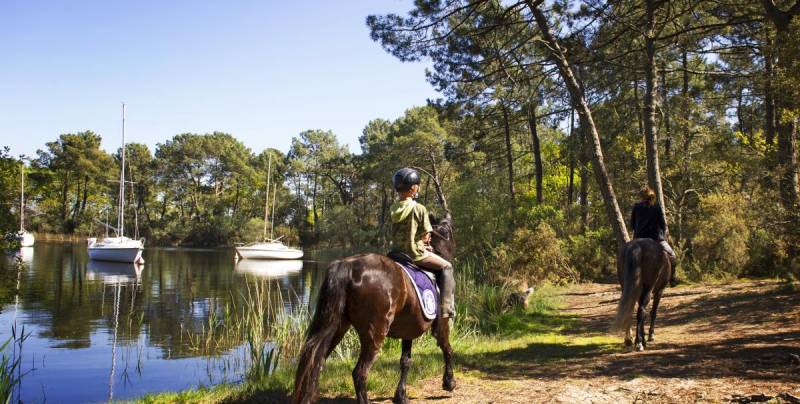 Randonnée : Hourtin : la réserve des dunes et marais à cheval