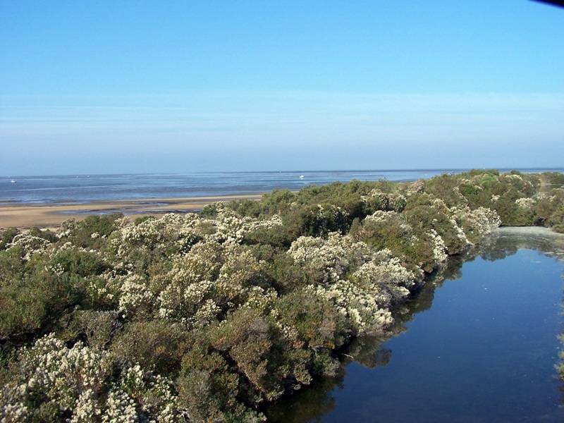 Randonnée : Au Teich, comme un oiseau sur le sentier du littoral