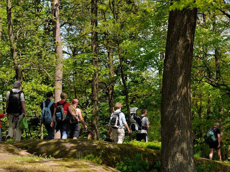 Randonnée : Boucle rando 5 jours dans les Vosges du Nord