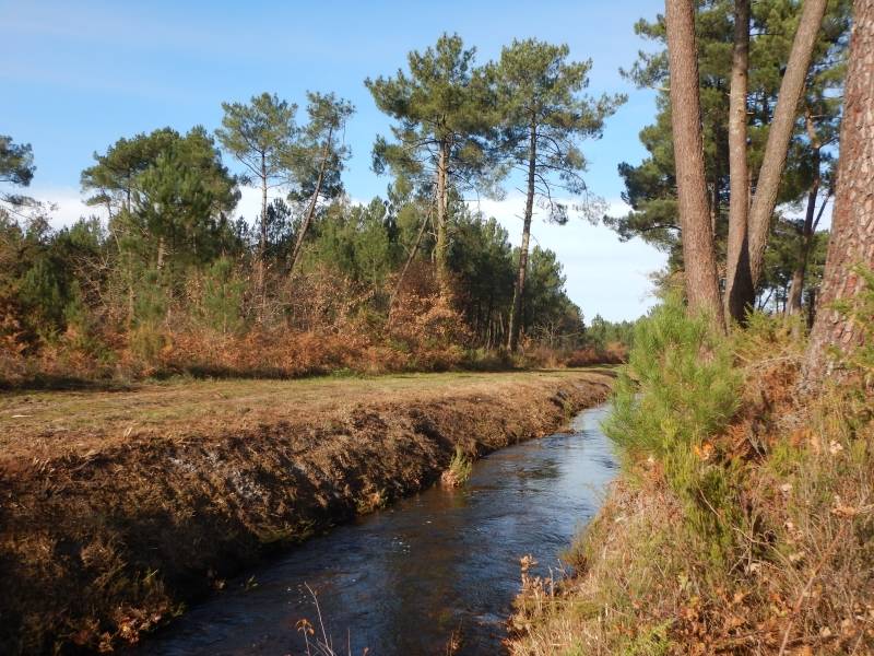 Randonnée : A l'orée des bois - VTT