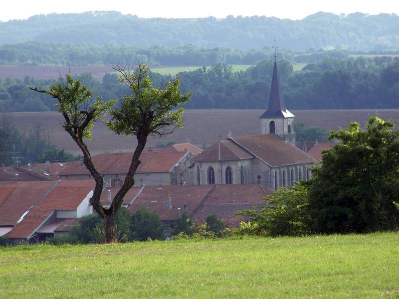 Randonnée : Circuit de brabis