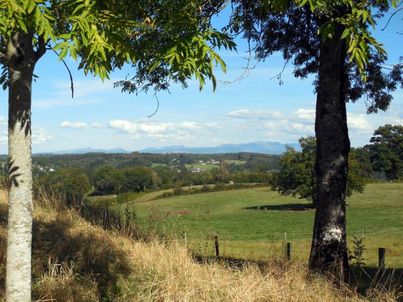 Randonnée : Clap, clap, clop… (variante 1 de 3.5 km)
