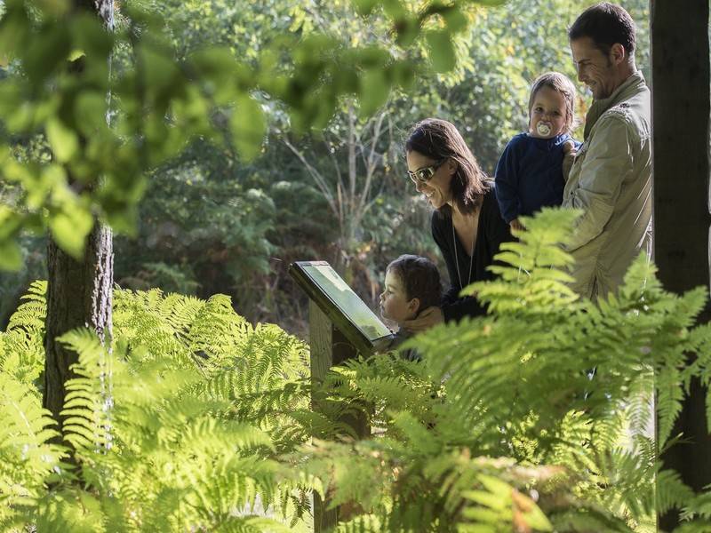 Randonnée : Labyrinthe de la Forêt de Tours-Preuilly