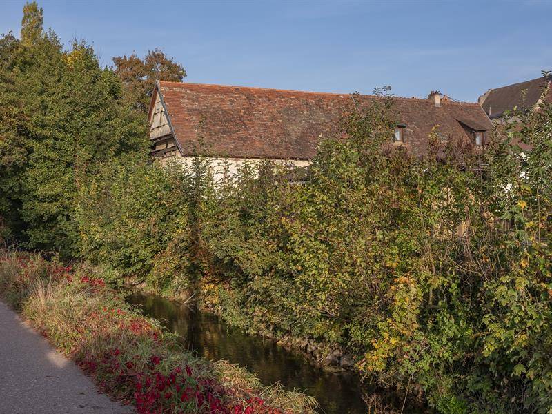 Randonnée : Circuit du Geisweg - Marche nordique