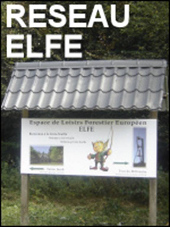 Illustration : Randonnée Elfe Les bois d'Hargnies
