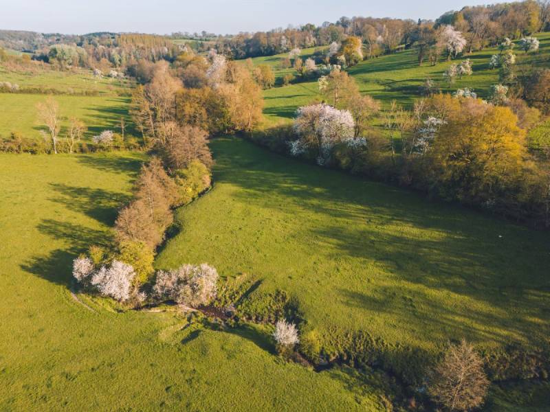 Randonnée : Au milieu des haras