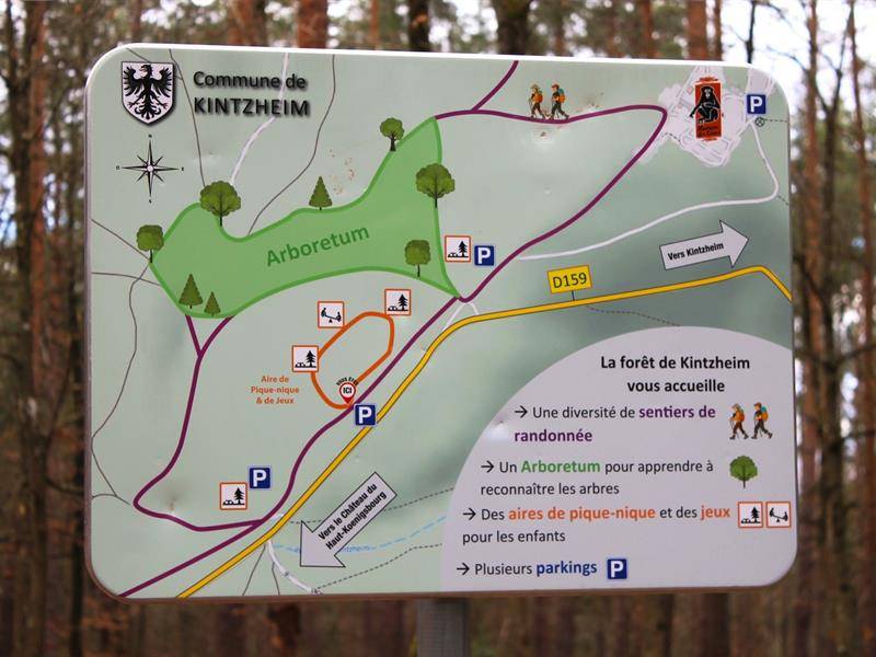 Randonnée : Arboretum