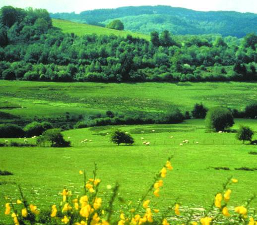 Randonnée : Circuit pédestre n° CM7 Le Puy de Roche Guette