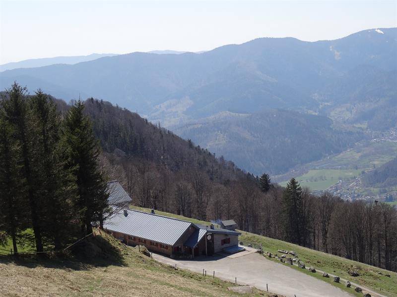 Randonnée : Trail - Envol vers le Treh et le Markstein