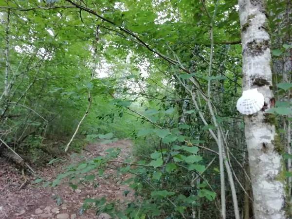 Randonnée : VTT - Circuit 6 Le Bois De L'ours