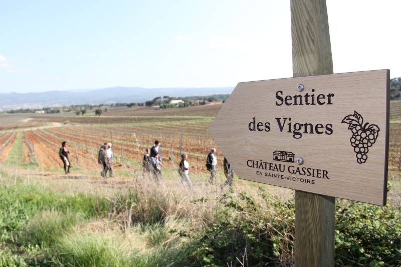 Randonnée : "Sentier des vignes" : Découverte de la biodiversité sur le domaine viticole Château Gassier