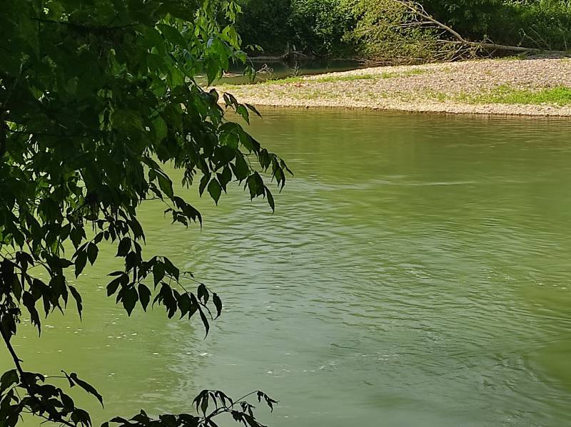 Randonnée : Les Sentiers de l'Adour : d'Augreilh à Péré Saint-Sever