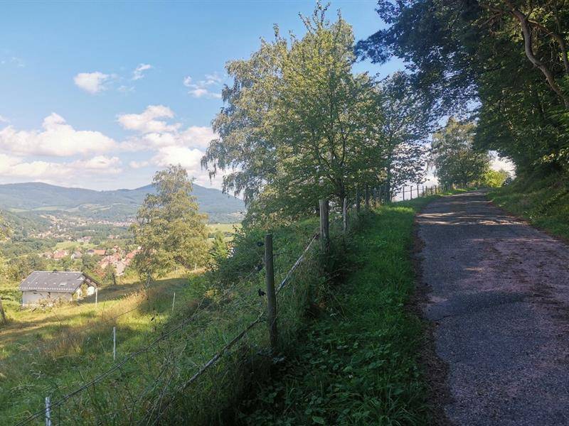 Randonnée : Chemin du Patrimoine "Une forêt en pays welche"