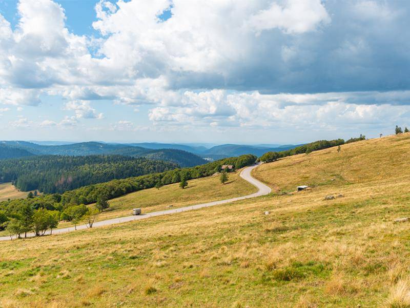 Randonnée : La route des crêtes