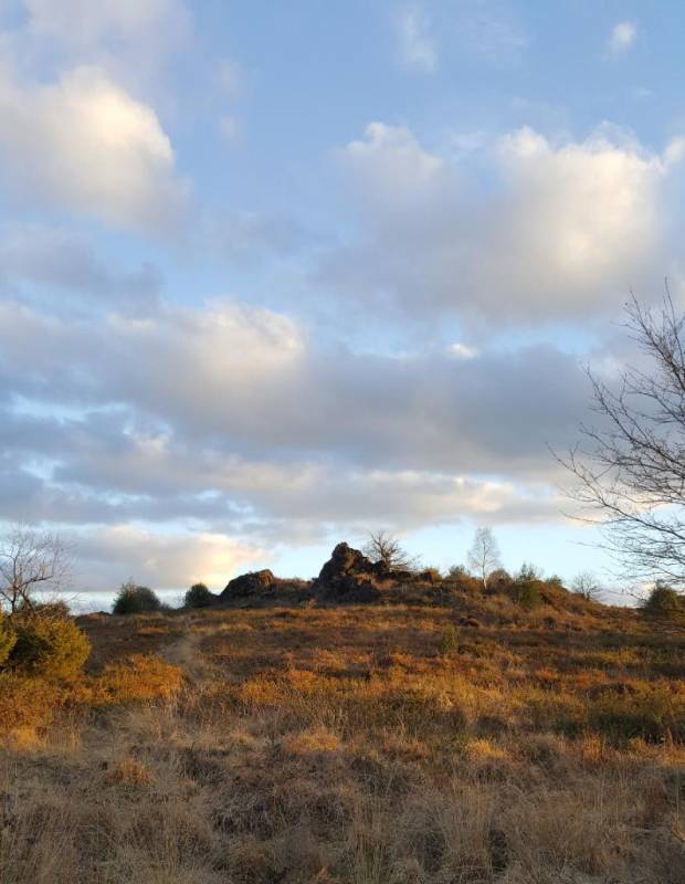 Randonnée : Sentier d'interprétation Landes du Cluzeau et de la Flotte