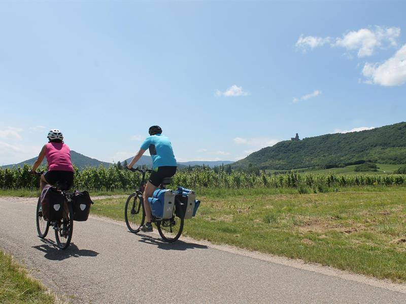 Randonnée : Circuit de l'Ortenberg - VTT