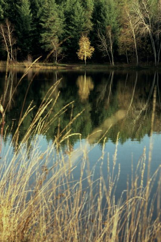 Randonnée : Le Plan d'Eau des Sagnes