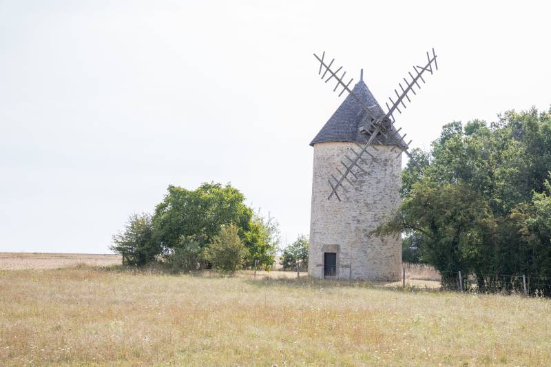 Randonnée : Le Sentier des Côteaux Divins