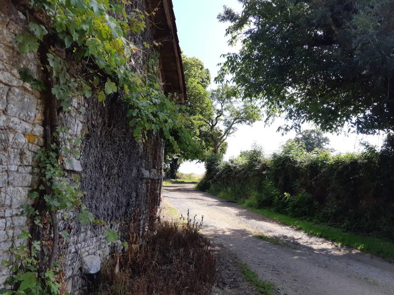 Randonnée : Sentier huguenot - Beaussais