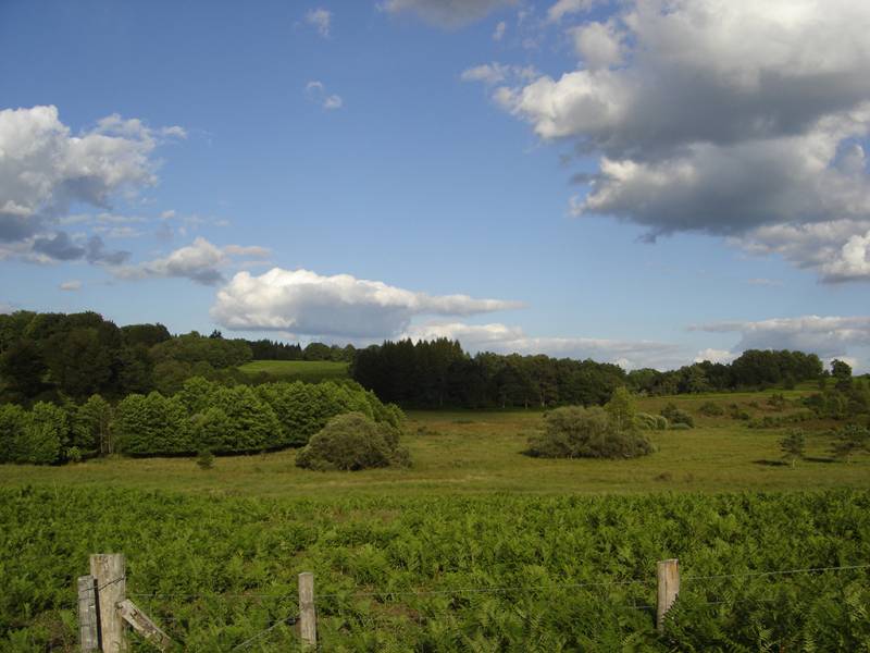 Randonnée : RANDO "Landes et Tourbières"