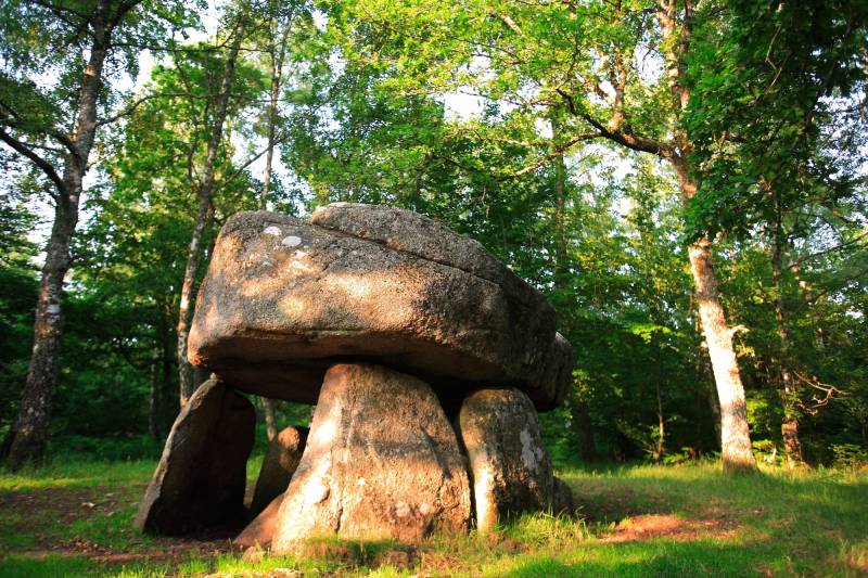Randonnée : Circuit de randonnée : Dolmen d'Urbe