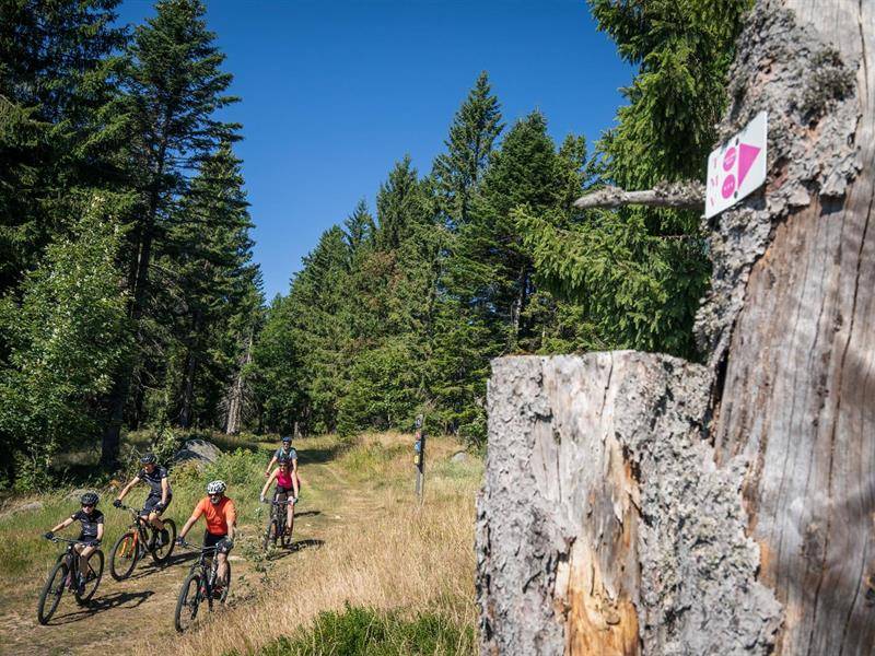 Randonnée : De Lichtenberg à La Petite-Pierre (VTT)
