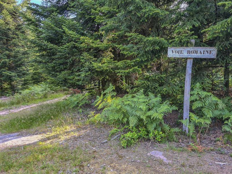 Randonnée : Circuit pédestre - Chemin d'Allemagne