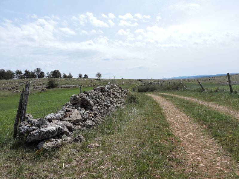 Randonnée : CAUSSE DE SAUVETERRE (COTATION ROUGE)