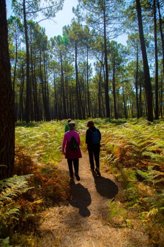 Randonnée : A Mios, balade au fil de l'Eyre