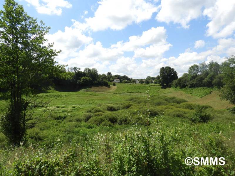Randonnée : Boucle des milieux naturels du marais de Saône