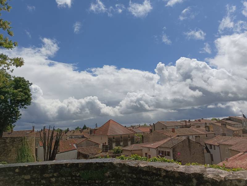 Randonnée : Aux sources de la Boutonne - Chef-Boutonne
