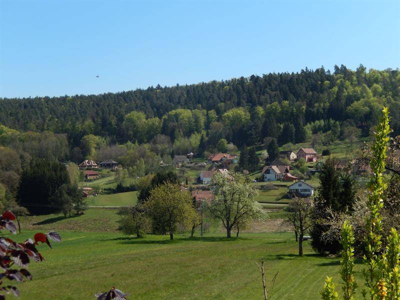 Randonnée : Circuit du rocher de Zittersheim