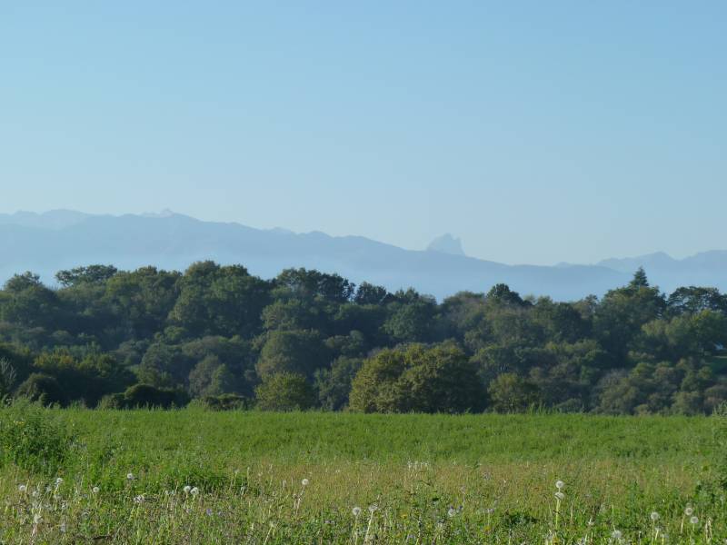 Randonnée : Morlaàs, chemin des crêtes