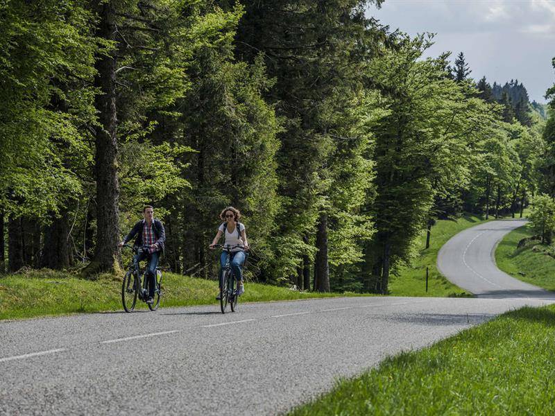 Randonnée : Circuit vélo CDF01 : Autour de la chaume des Veaux