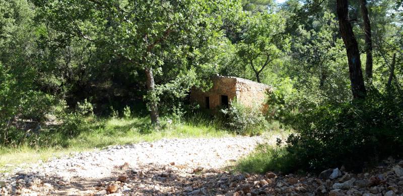 Randonnée : La bergerie de Peyruis par le Défens