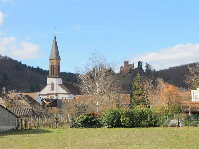 Randonnée : Circuit de visite à travers Kintzheim