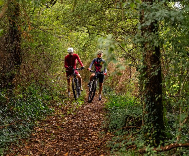 Randonnée : A la Découverte de la forêt