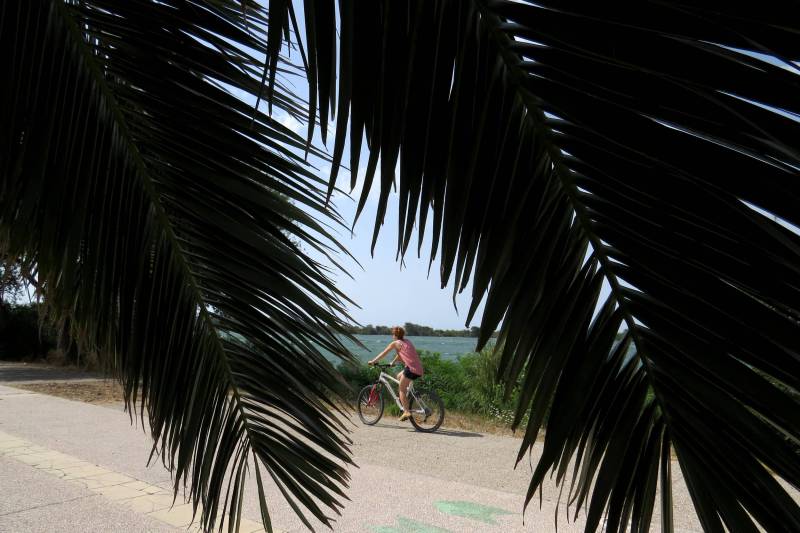 Randonnée : SALIN-DE-GIRAUD - PORT-SAINT-LOUIS - Sur les rives du Rhône à vélo