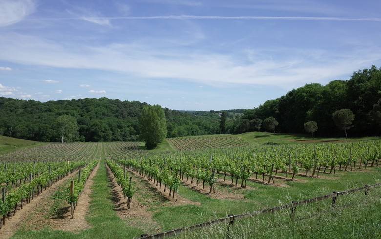 Randonnée : Excursion en Entre-Deux-Mers